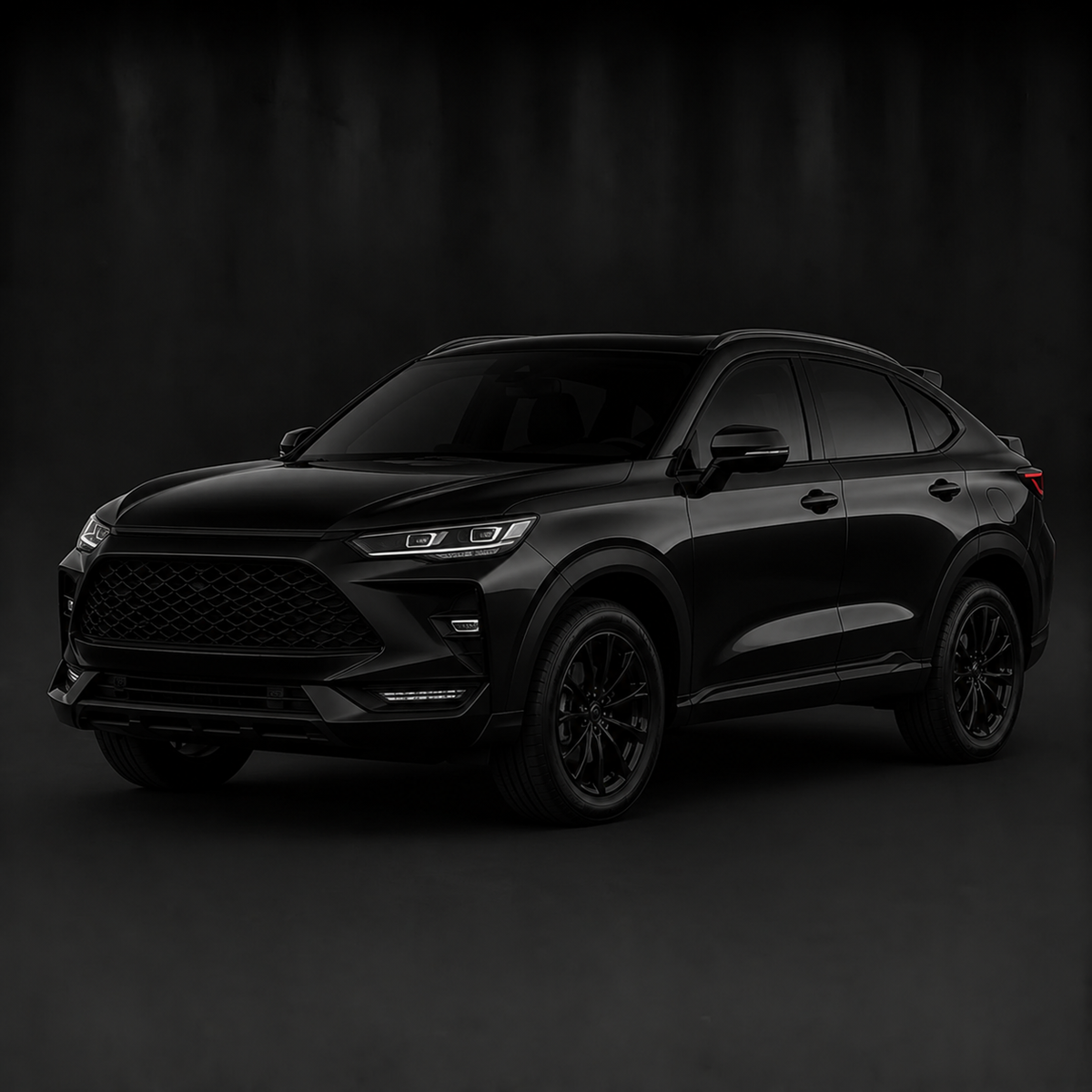 Disc Holders for Haval